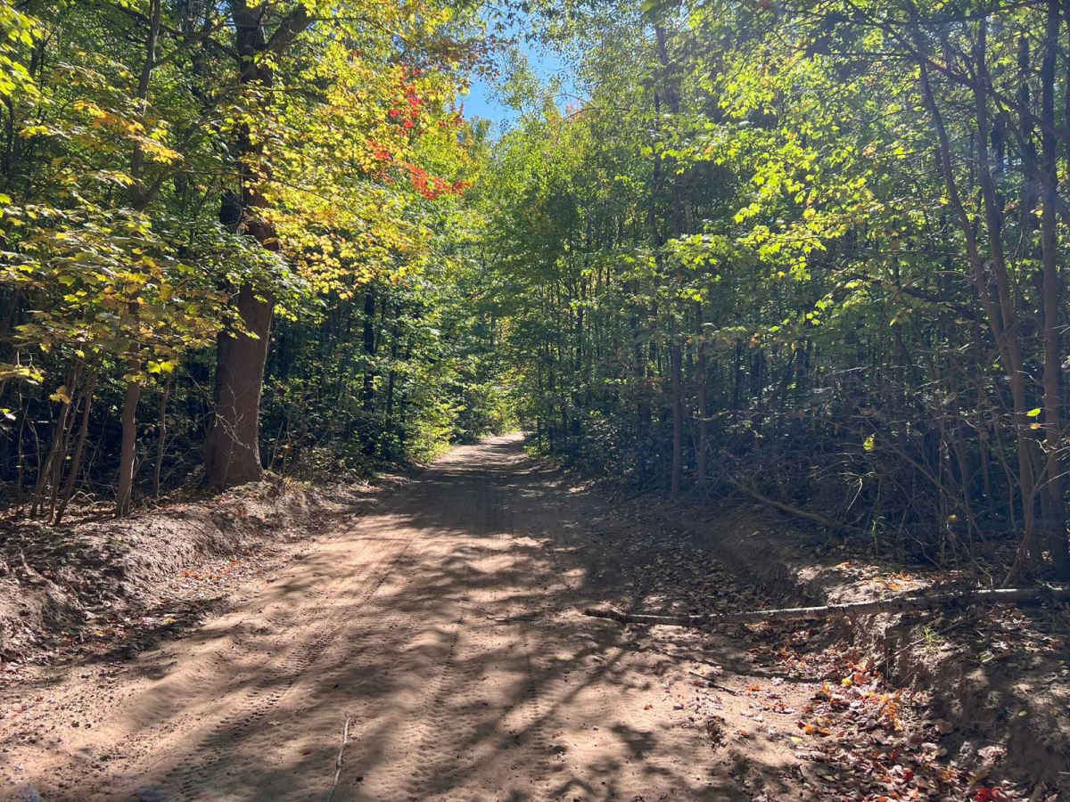 Trail G - Forest Road 208 photo 6