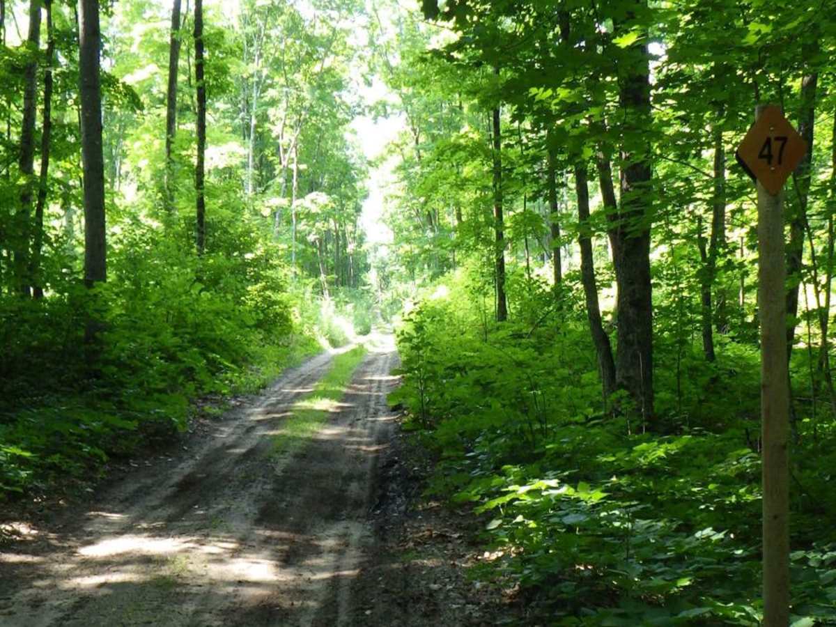 East Sawmill Route photo 3