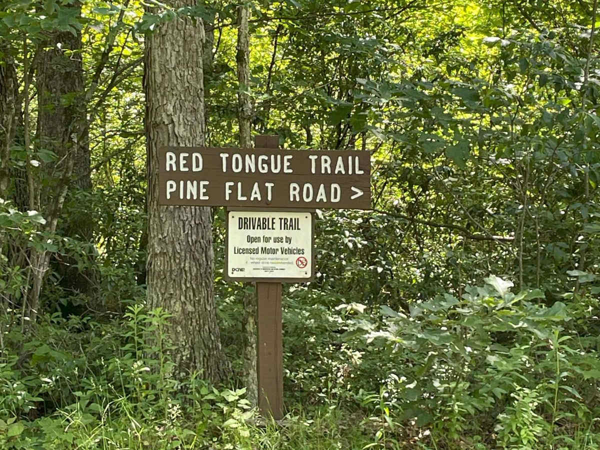 East Run Road photo 4
