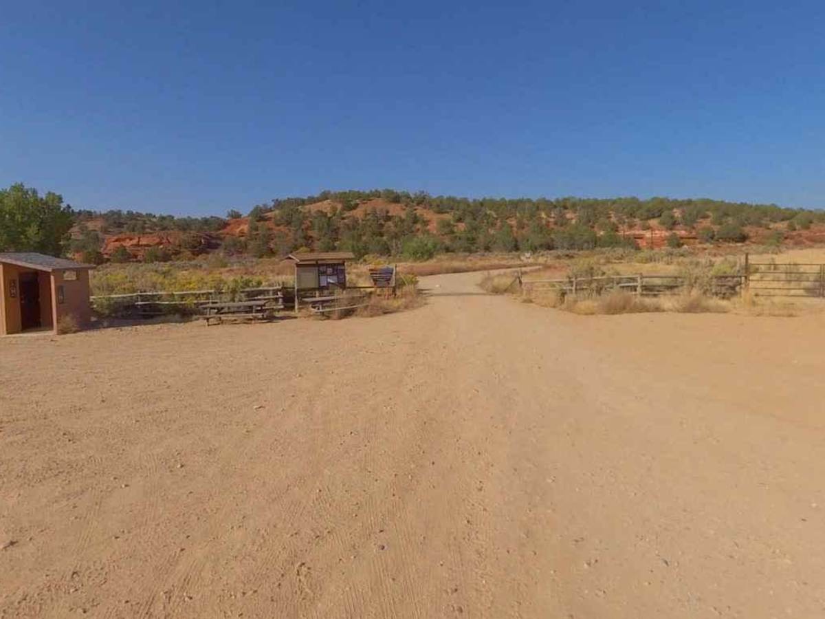 BLM100 photo 2