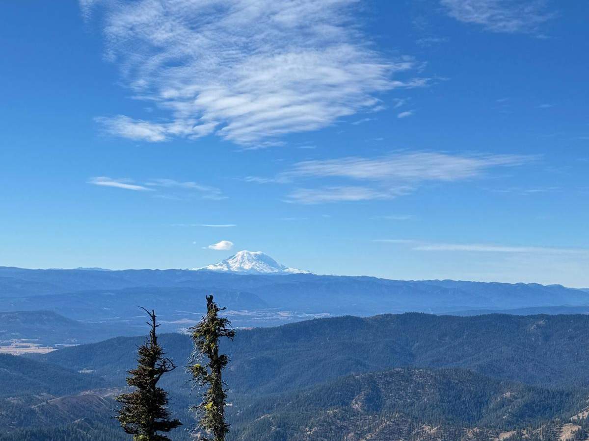 Lion's Rock to Liberty photo 5