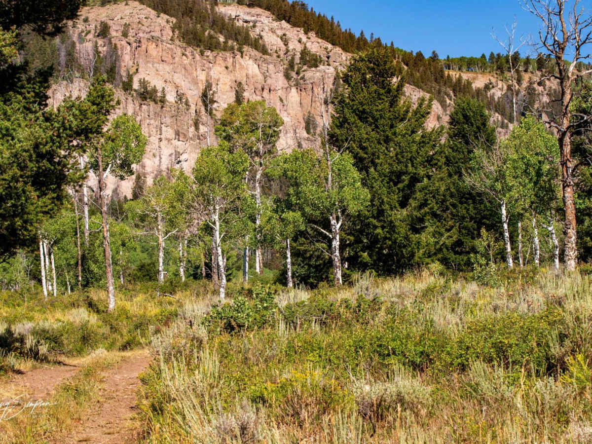 Curecanti Creek Road FR 720 photo 5