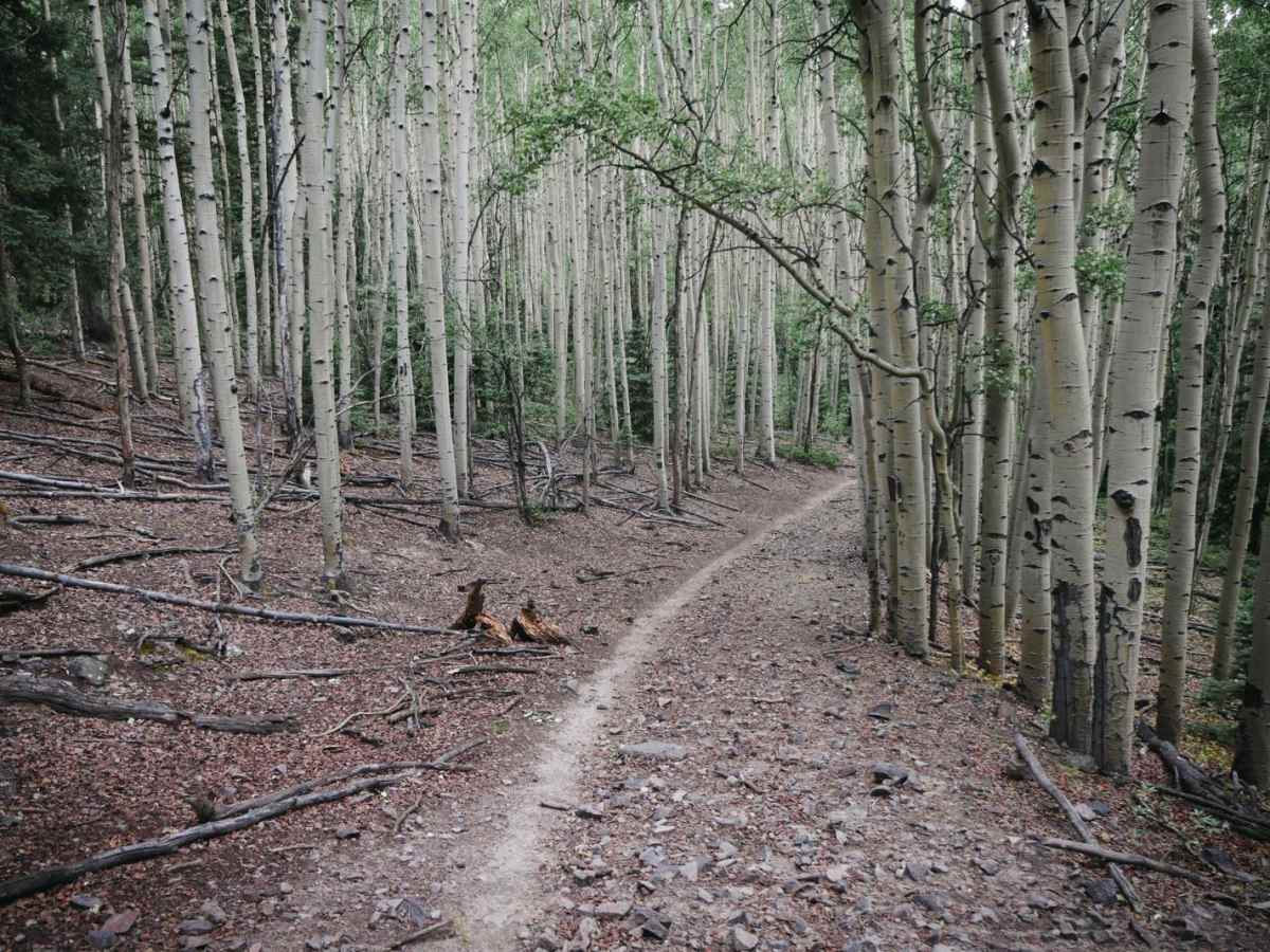 Hot Creek Trail trail photo