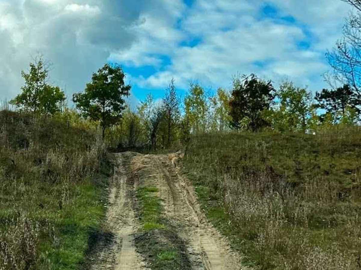 High Rollway Scenic Overlanding Trail 1 photo 5