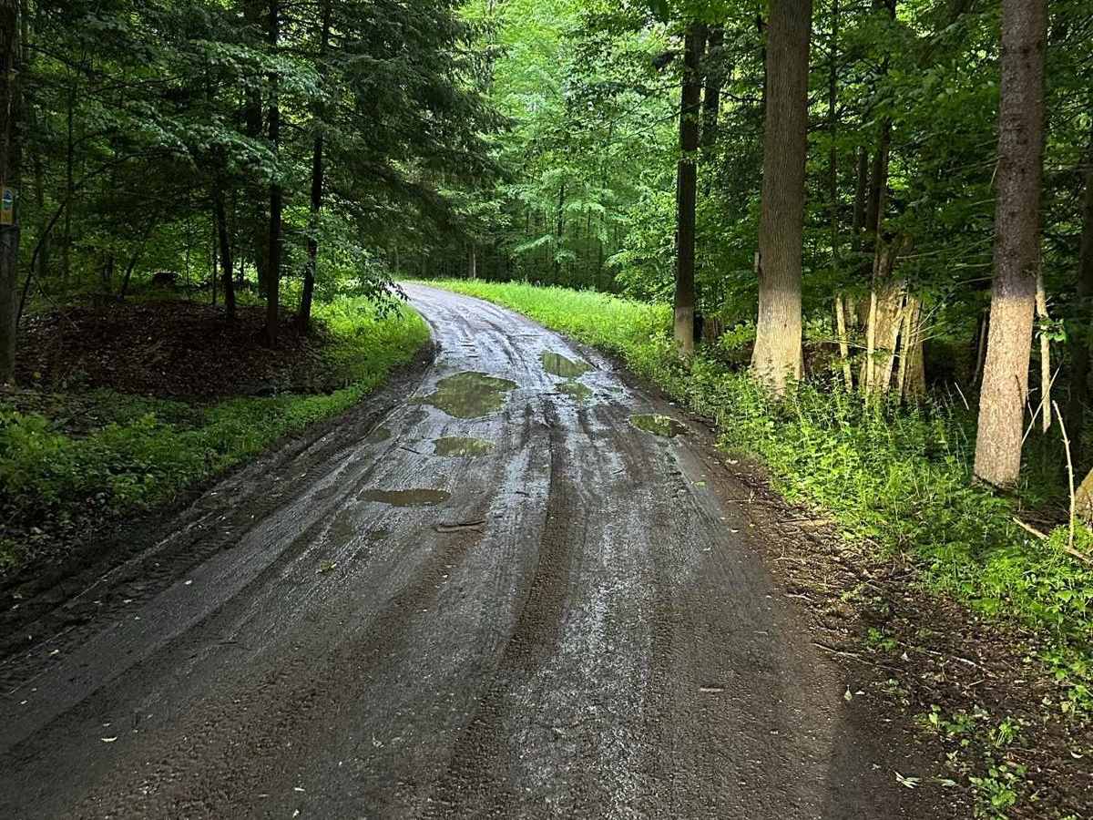 Back Road to Rattlesnake trail photo