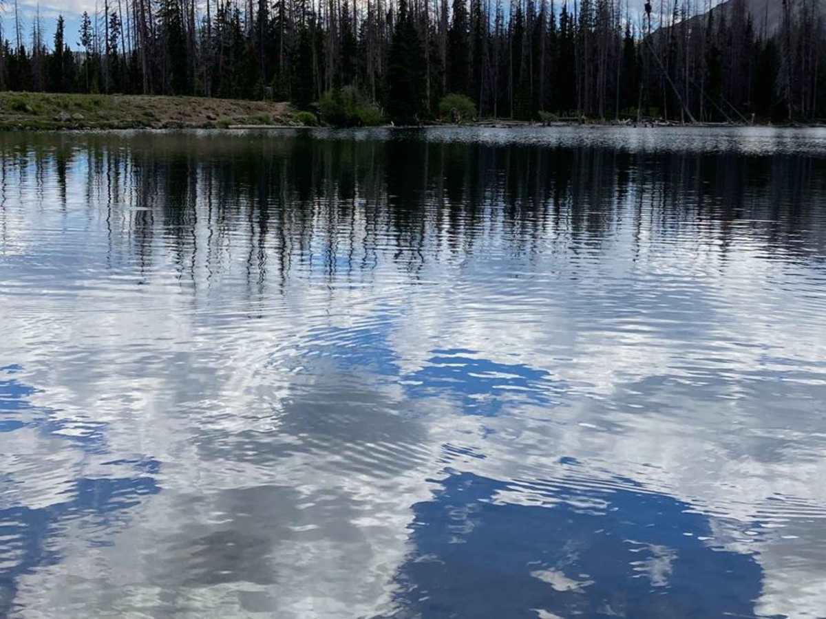 Beaver Creek Trail photo 3