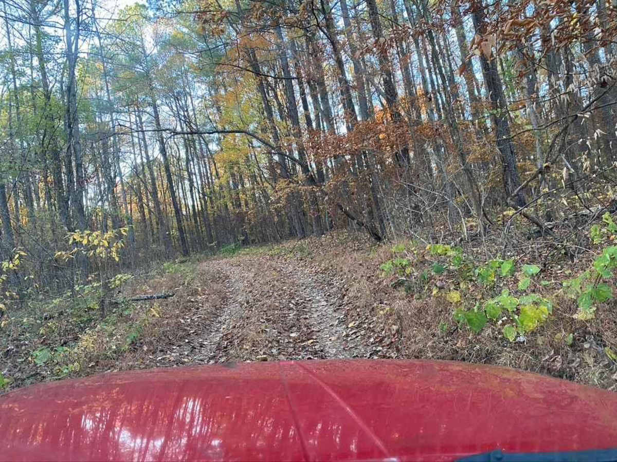 Slick Ridge FSR 262G photo 3