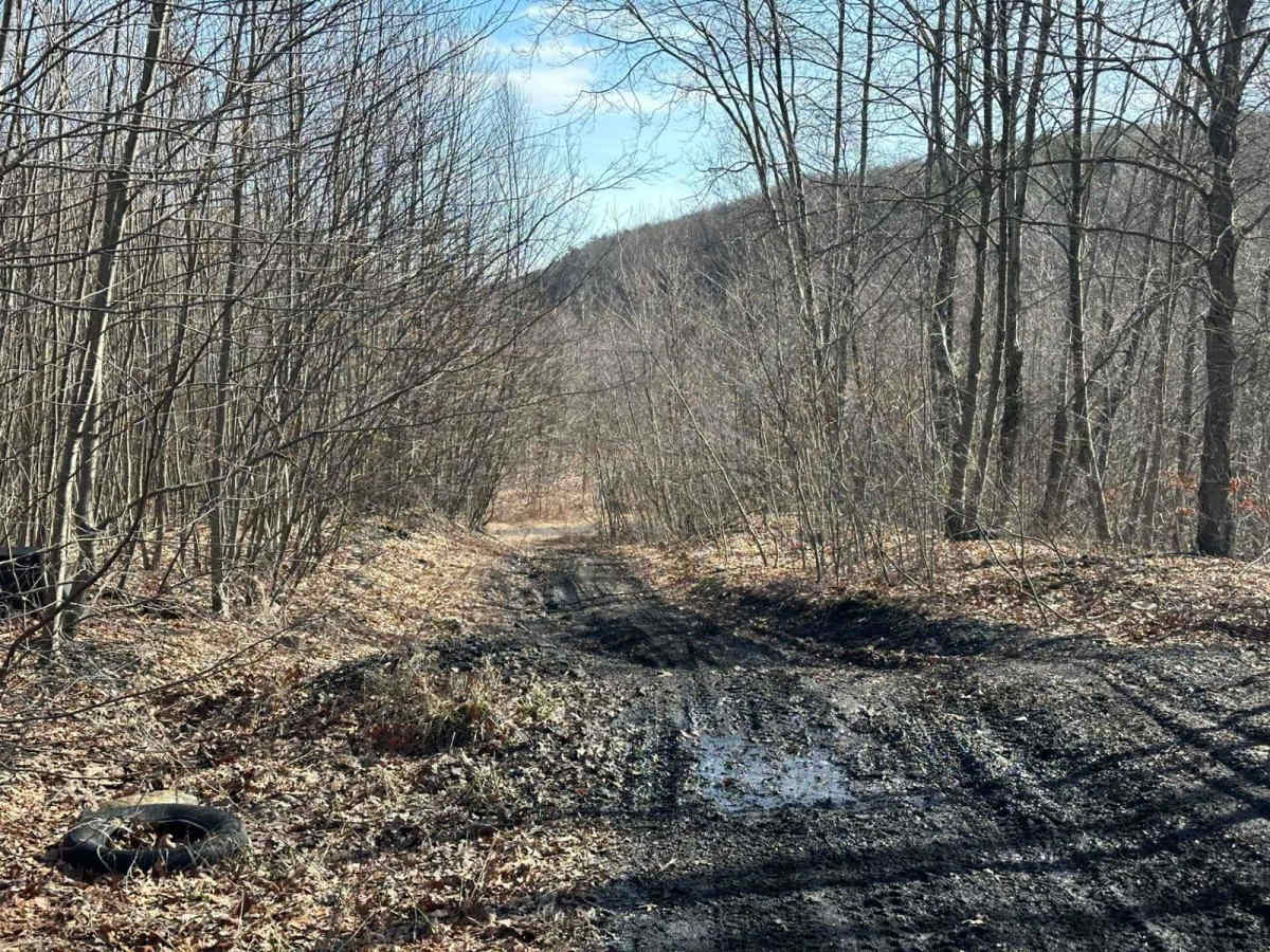 Locust Gap 38 trail photo