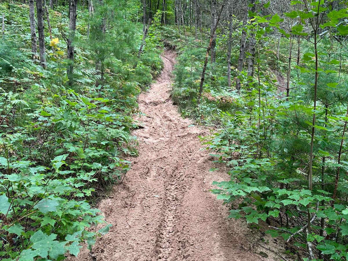 Sand Lake Motorcycle Trail trail photo