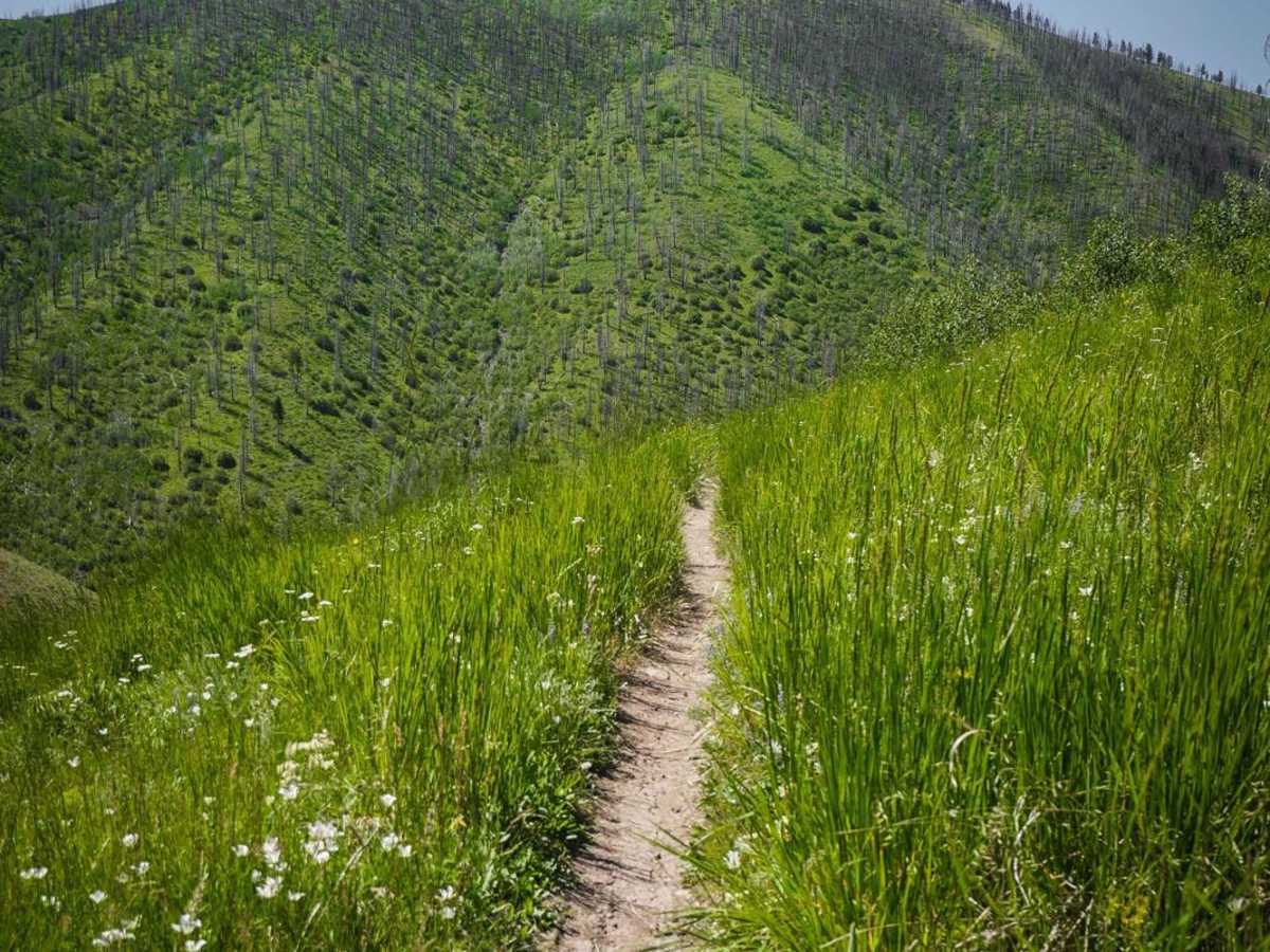 Imperial Gulch photo 3