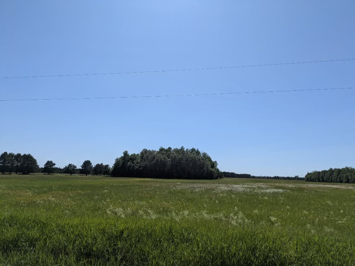 FS 2886 photo 6