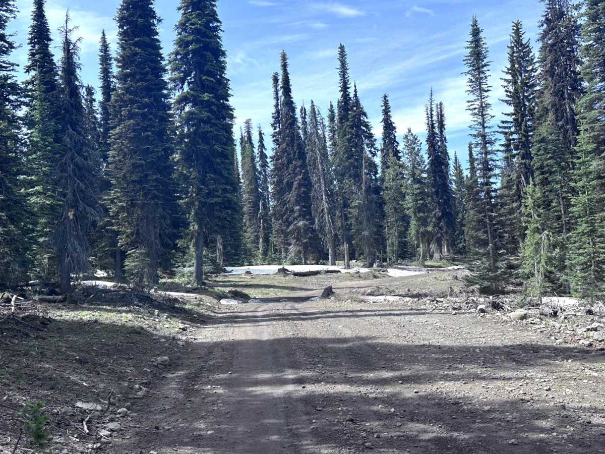 Meadows Goose Lake photo 4
