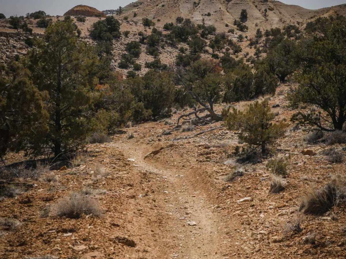 Orange Trail photo 5