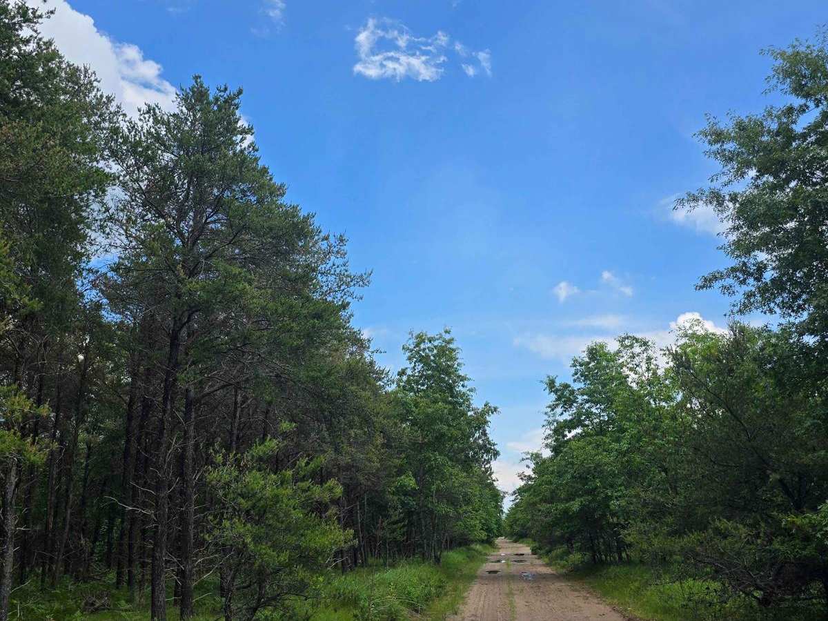 County Line photo 4