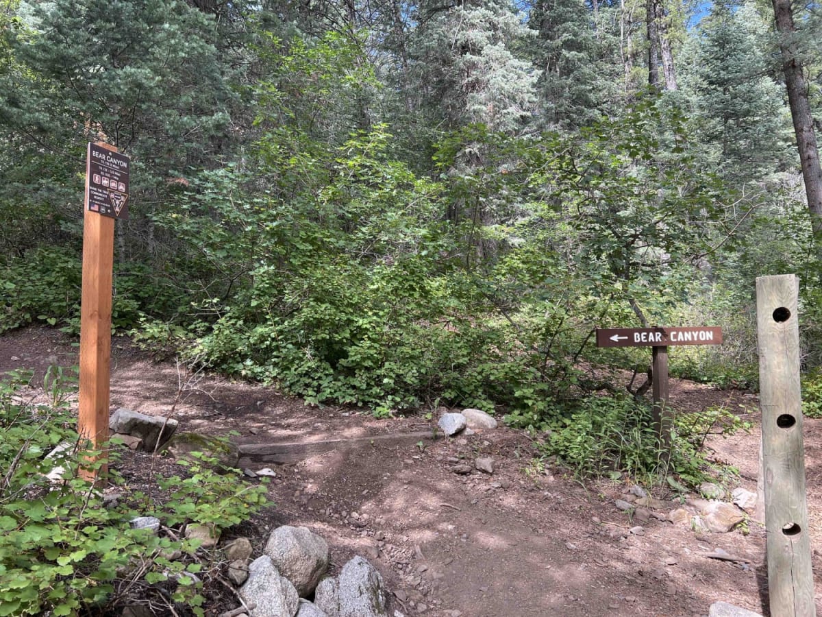 Bear Canyon (2179) photo 3