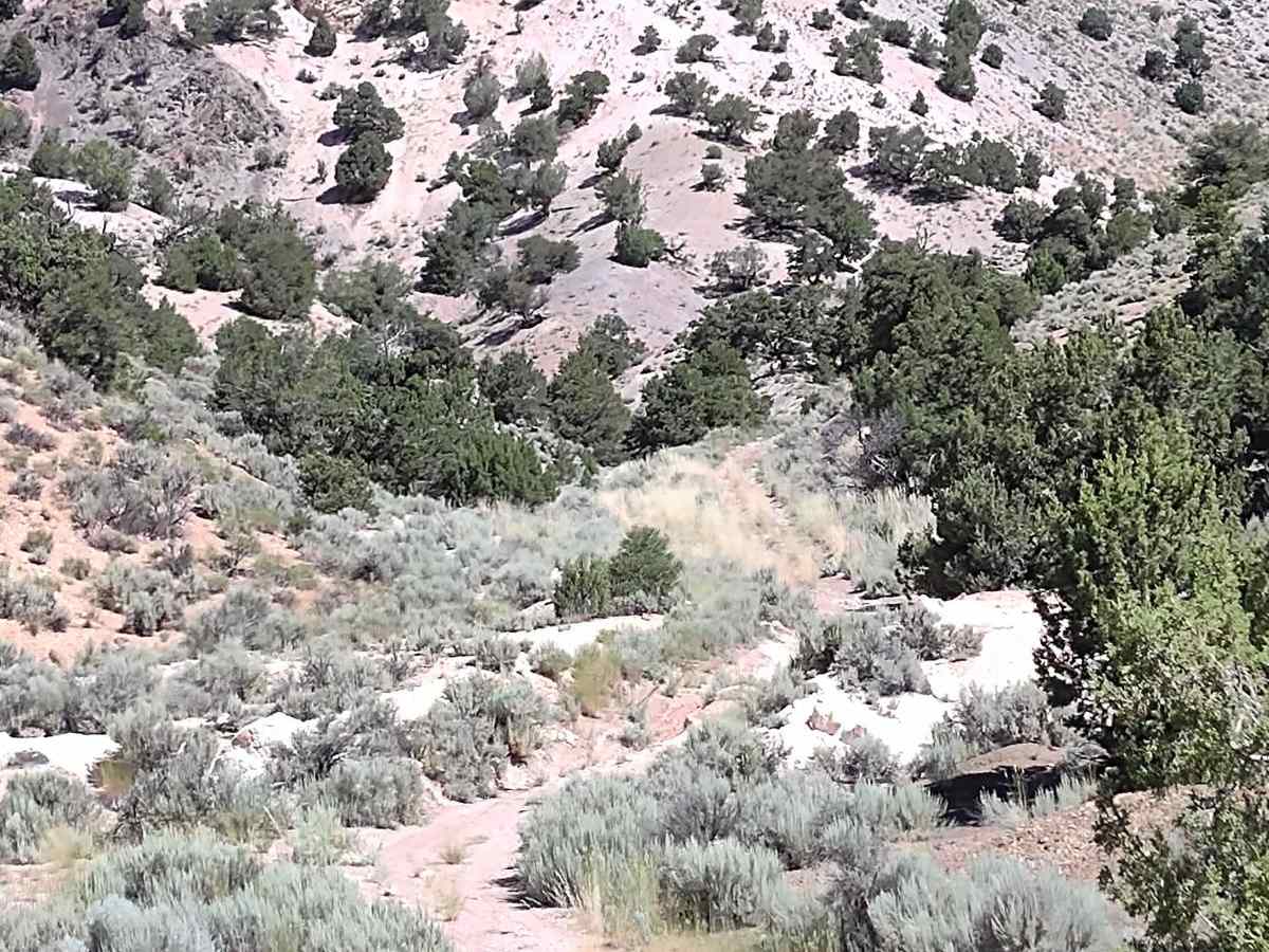 Views of Big Rock Candy Mountain Canyon photo 4