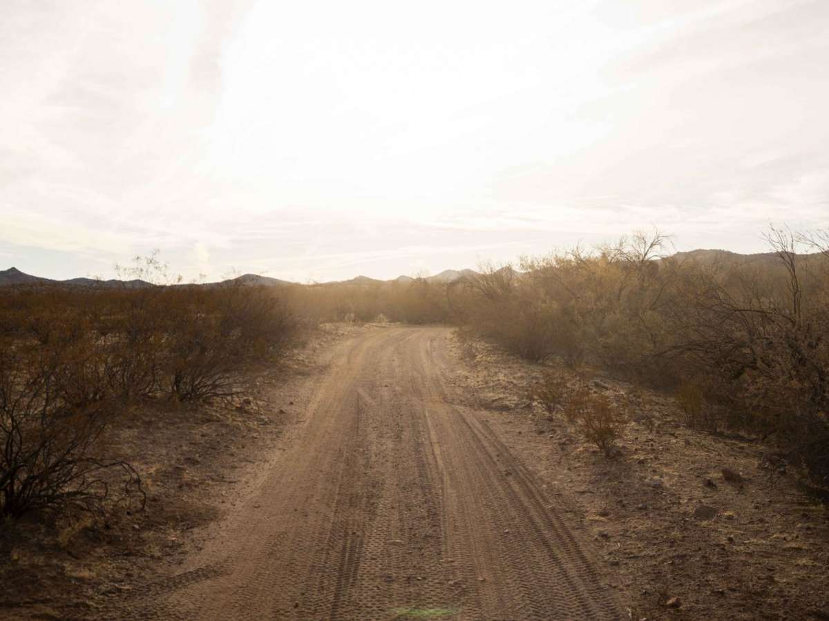 9109B trail photo
