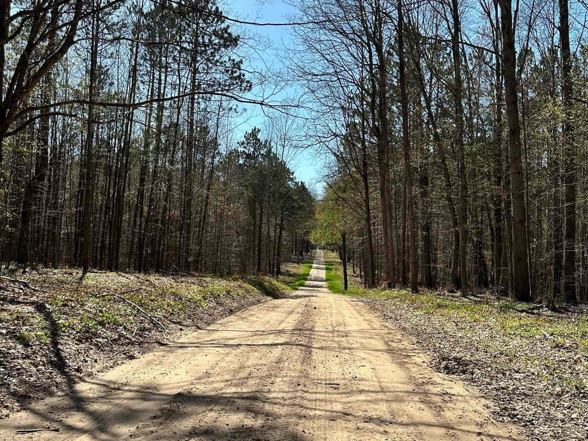 West 40 & 40 1/2 Road trail photo