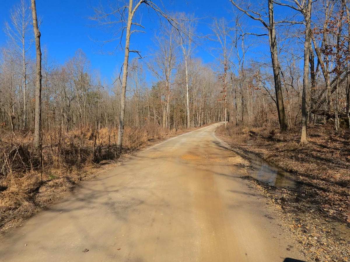 Smith Cemetery Road - FS 120 photo 3