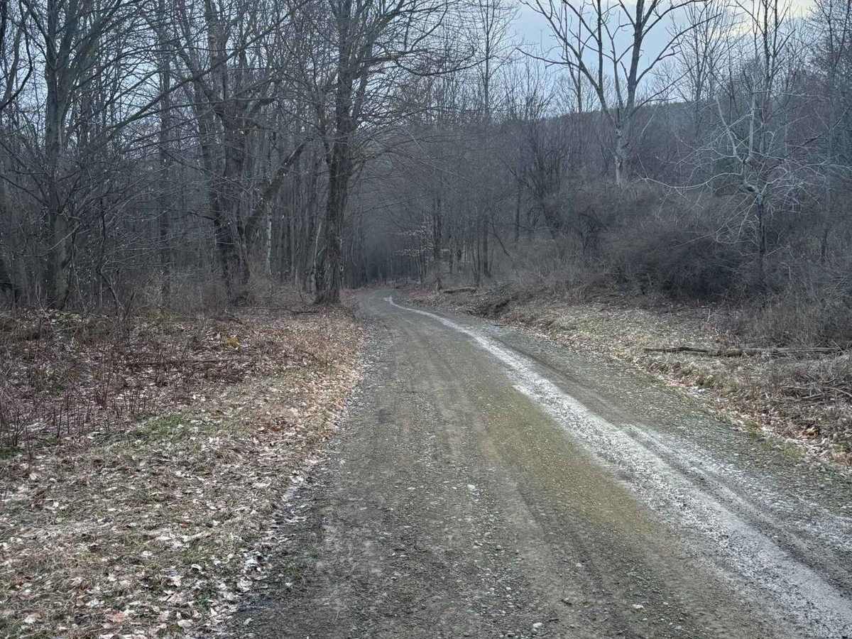 Everett Road photo 3