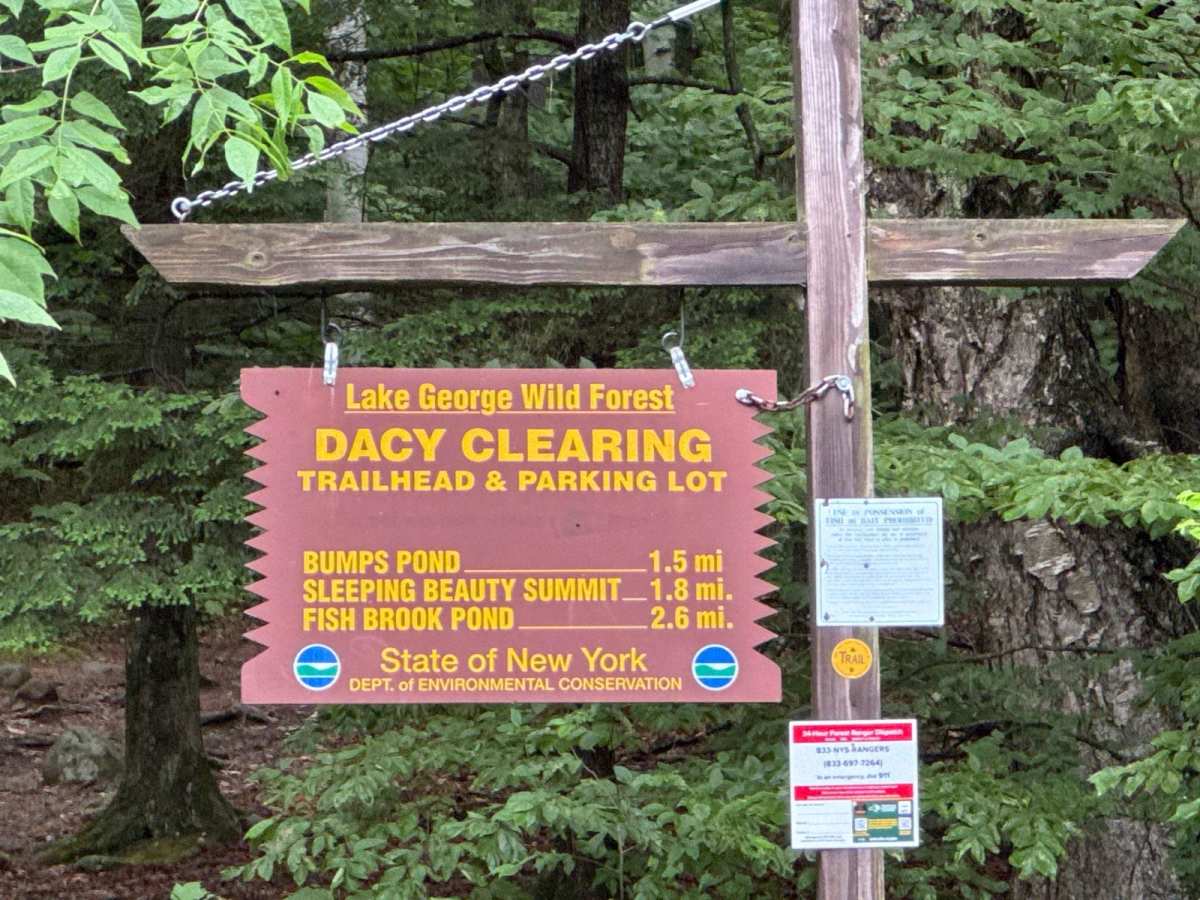 Dacy Clearing Road photo 6