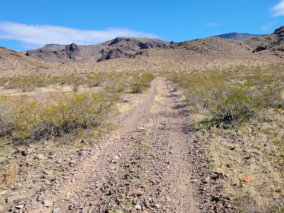 Rocky Road photo 6