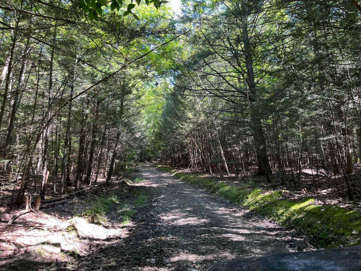 Harrison Road photo 6