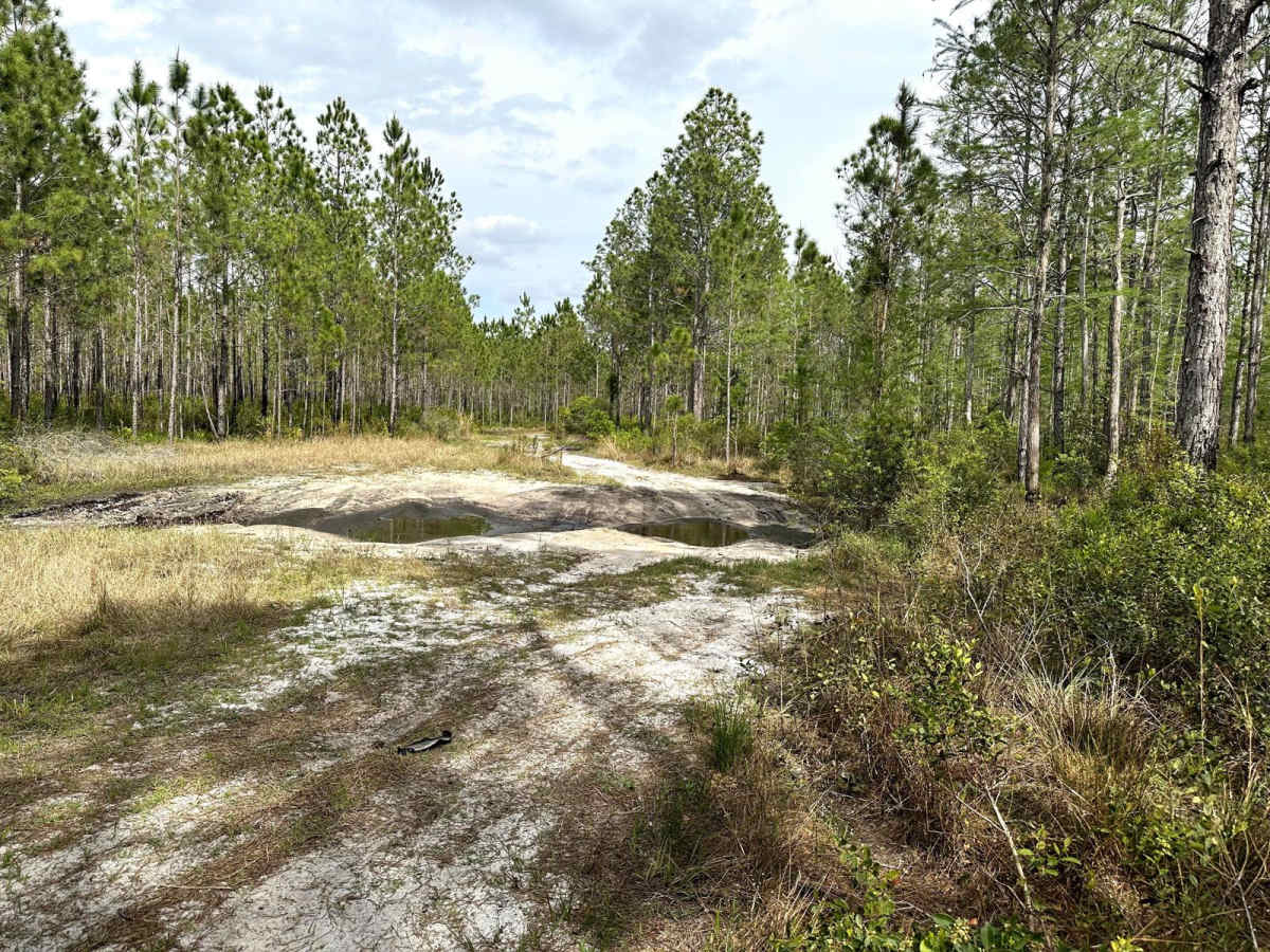 Richloam Wildlife Management Area SE Quarter Infinity Loop photo 5