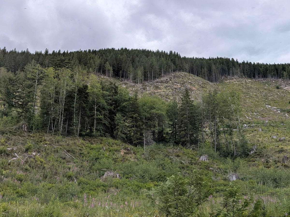 Gordon River Road North photo 4