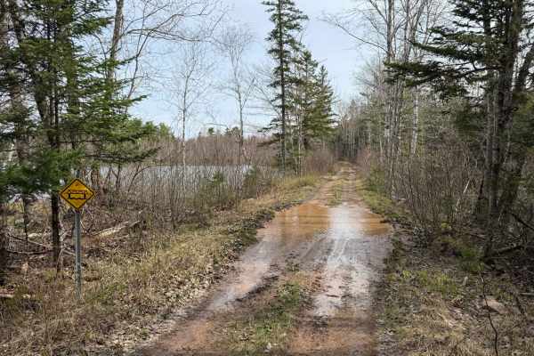 Dean Chapter Trail