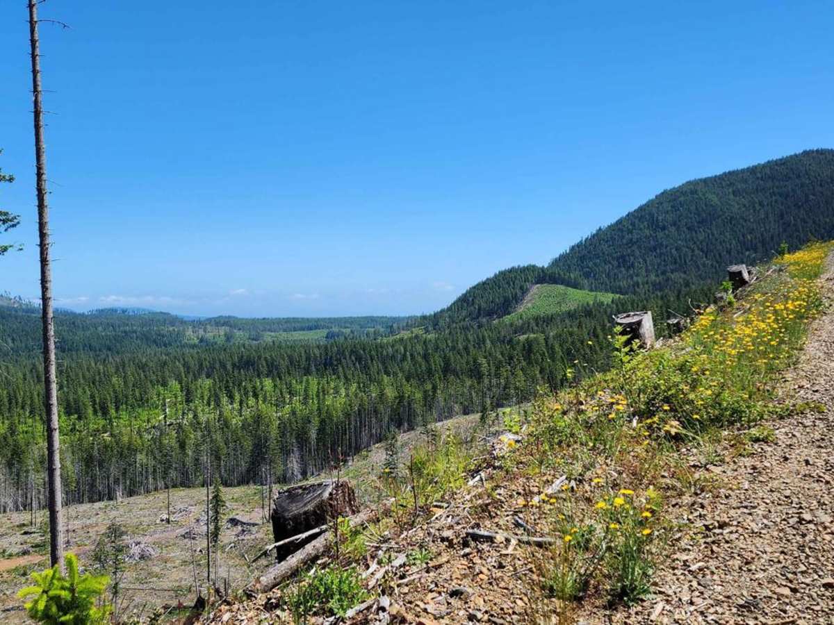 Jefferson Ridge Road photo 4