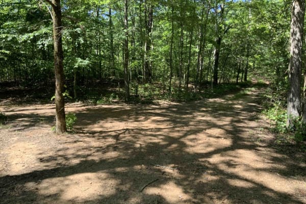 1541 / Briar Creek