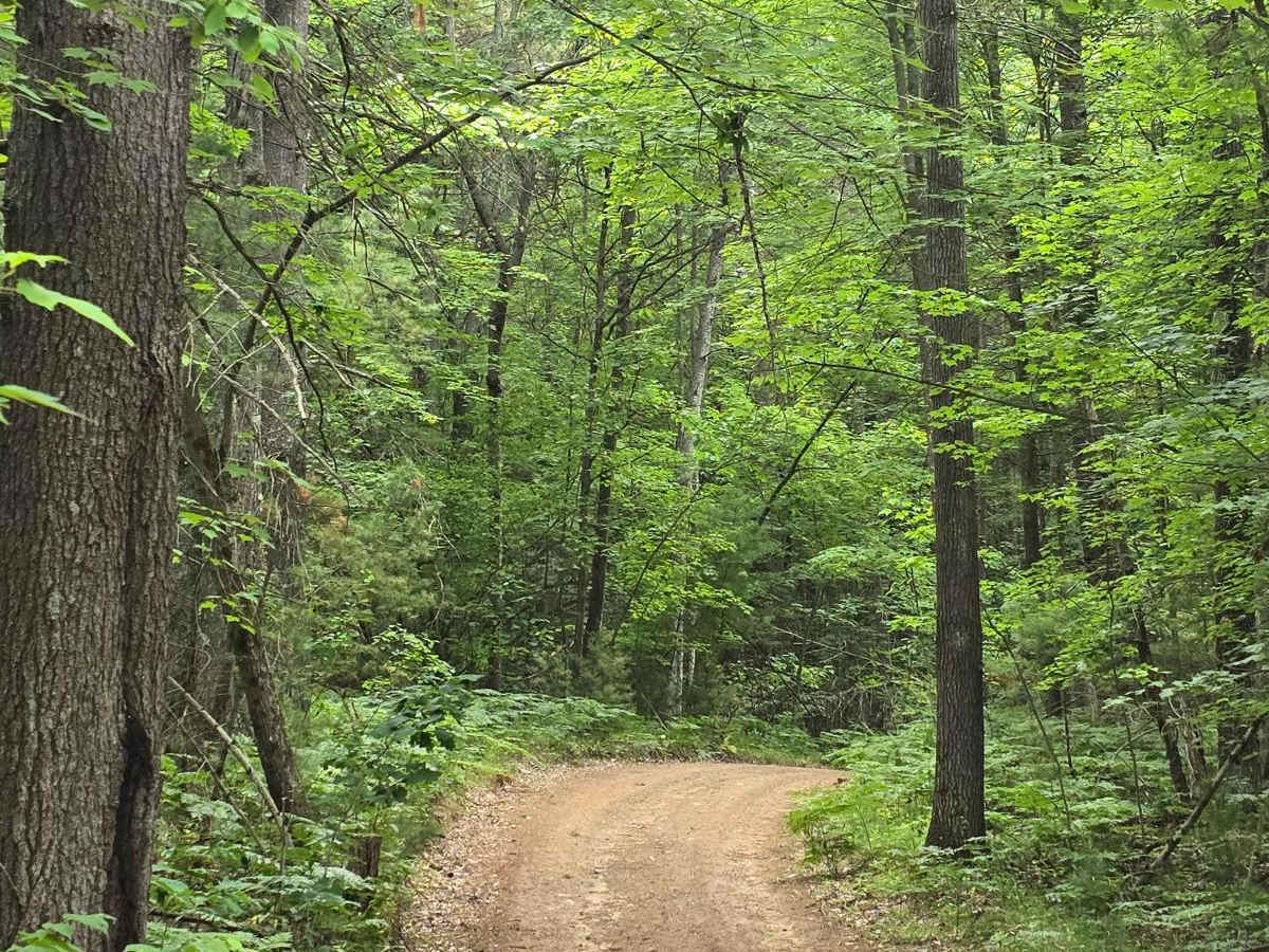 Lentz Trail photo 5