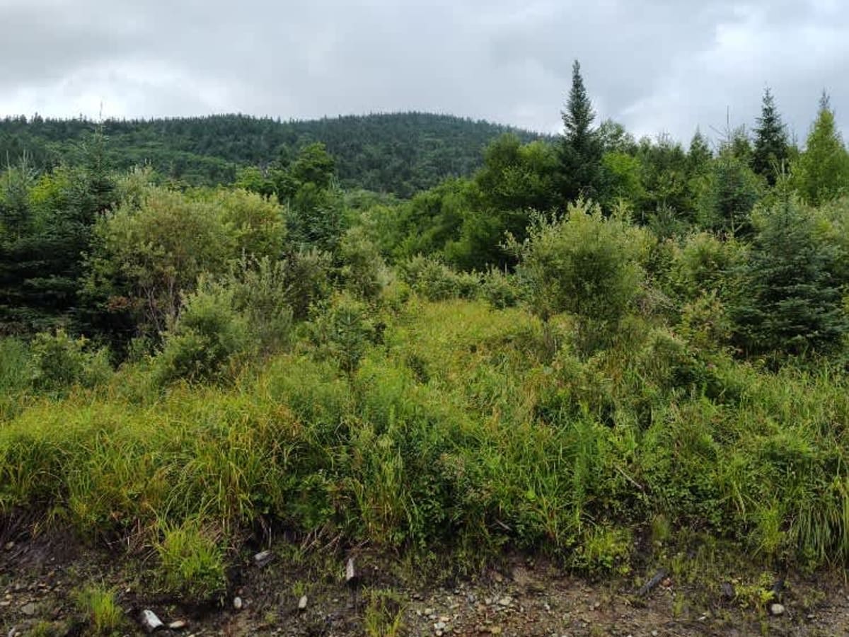 Haystack Mountain Road photo 6
