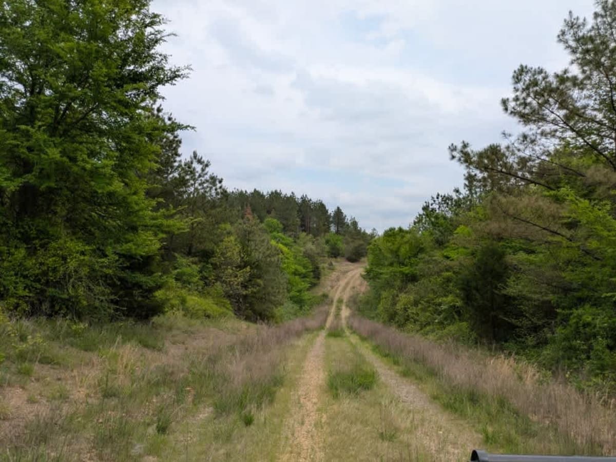51707 photo 2