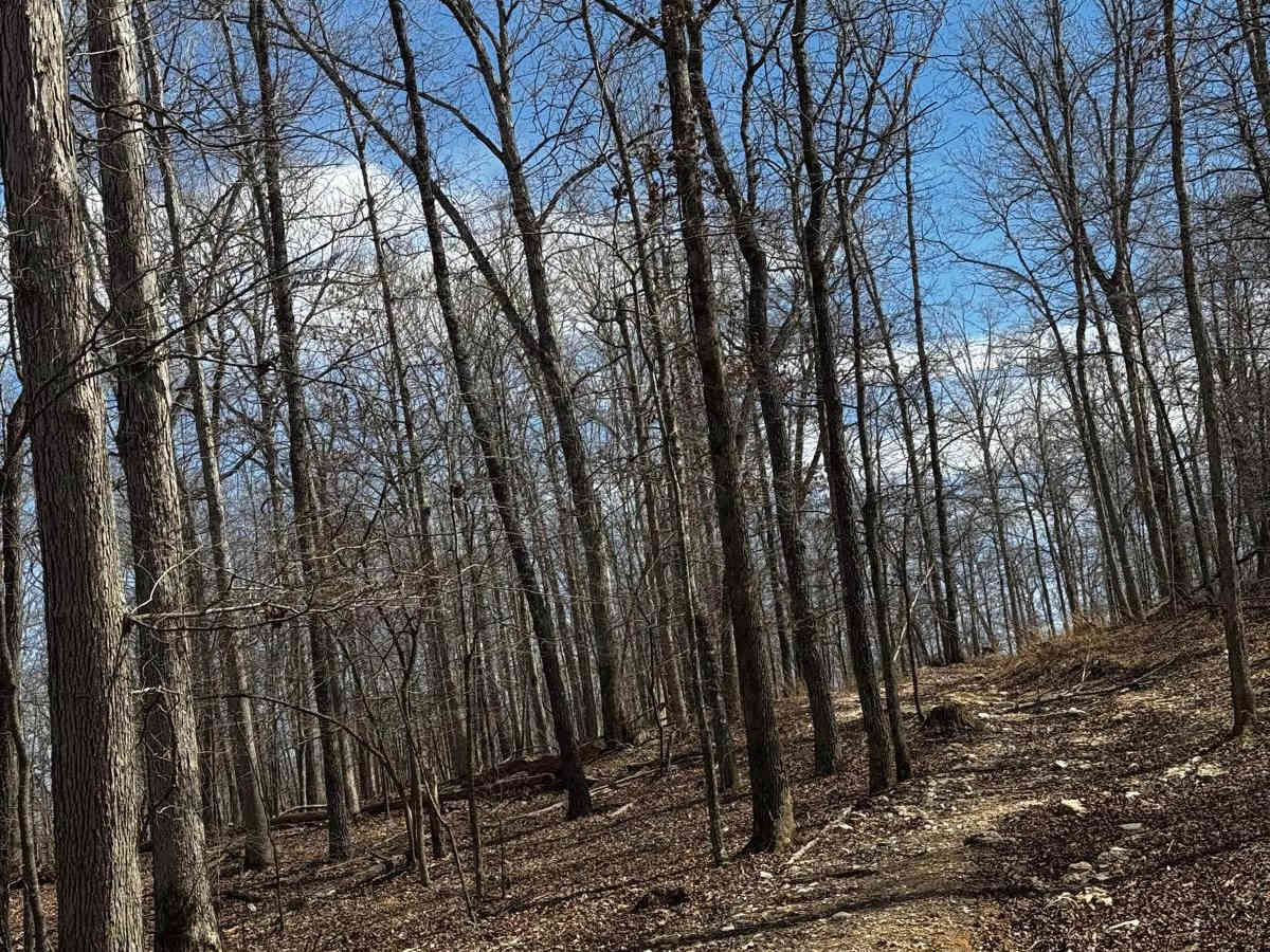 Hilllside Backtrack photo 2