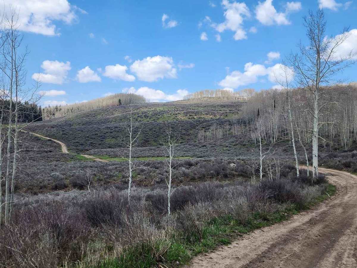 Chimney Rock Road (West Carter Mountain) photo 2