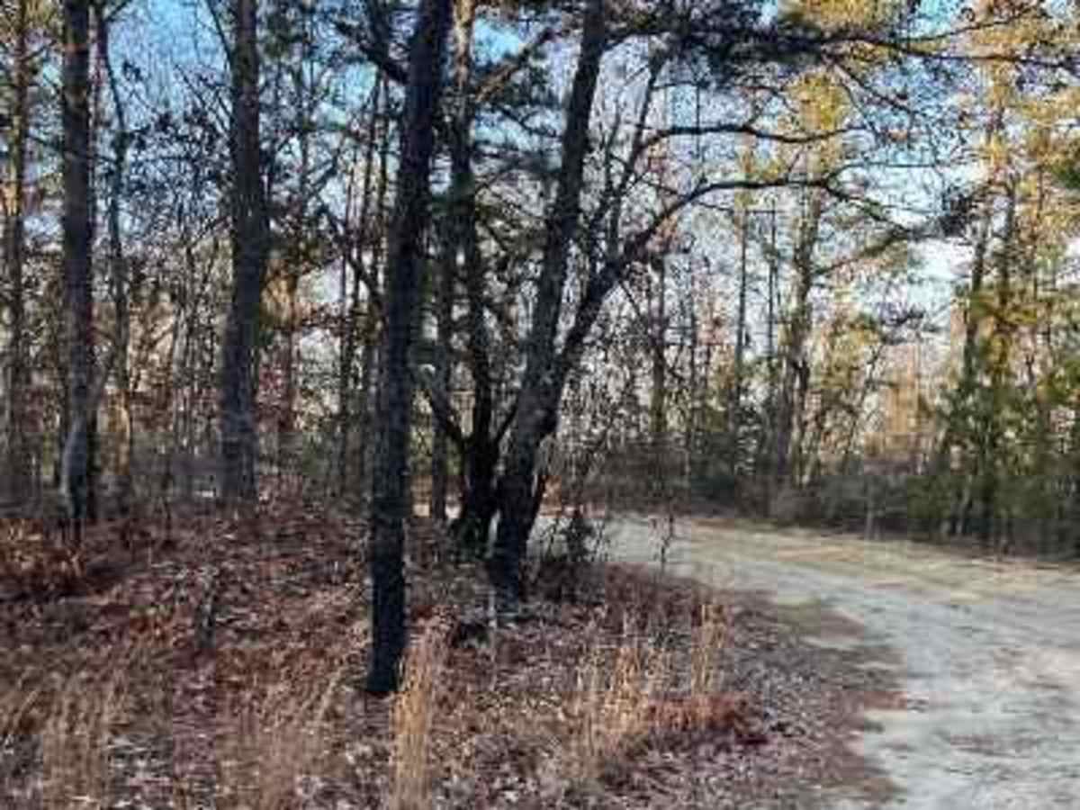 Make Peace Lake Road trail photo