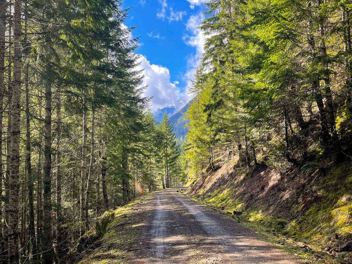Tunnel Creek Trail trail photo
