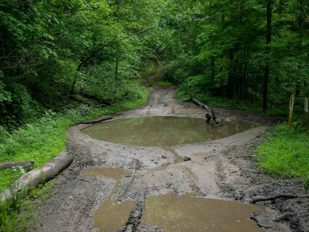 B28 trail photo