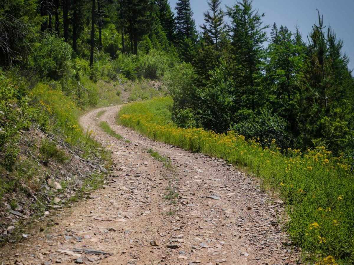 Dunn Peak trail photo