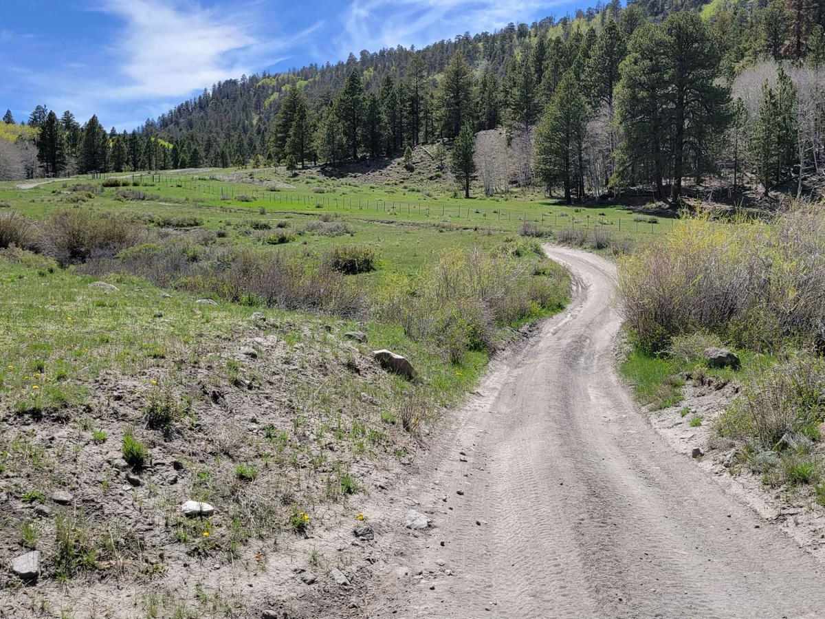 35158 - Pleasant Cr Trail photo 6