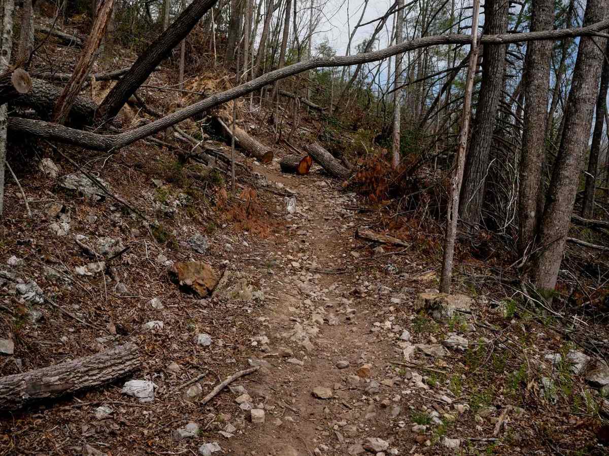 A5 Randy's Diner trail photo