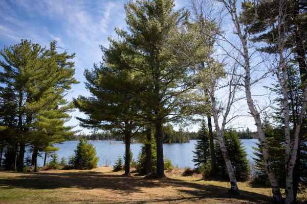 Island Lake Northeast Trail