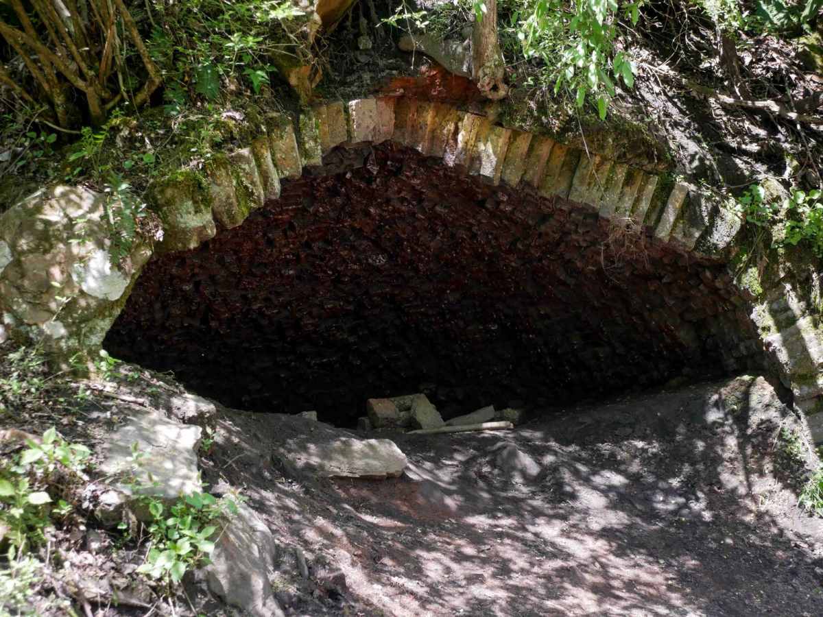 P29 trail photo