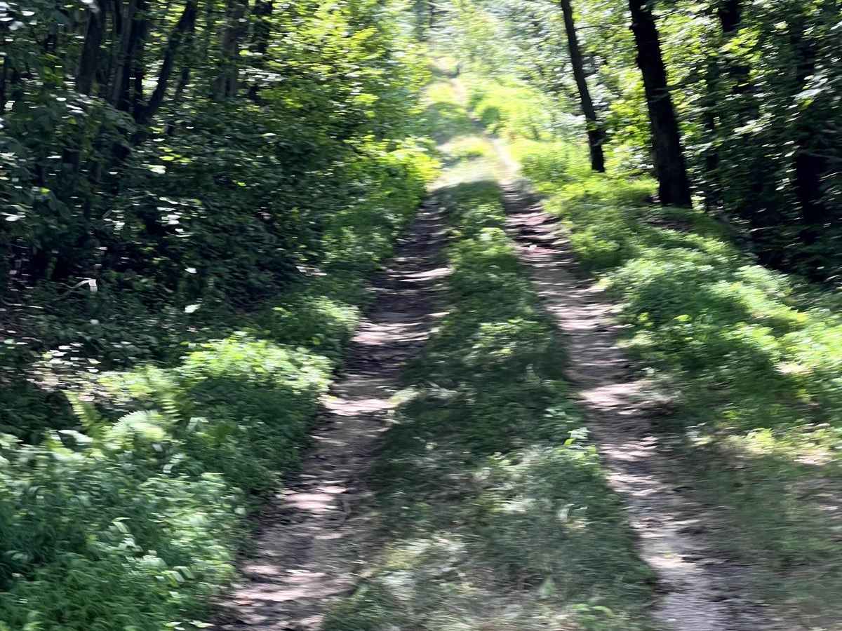 Horse Valley Ridge / Concord Road trail photo