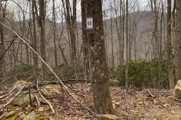 Trail 55 Windrock