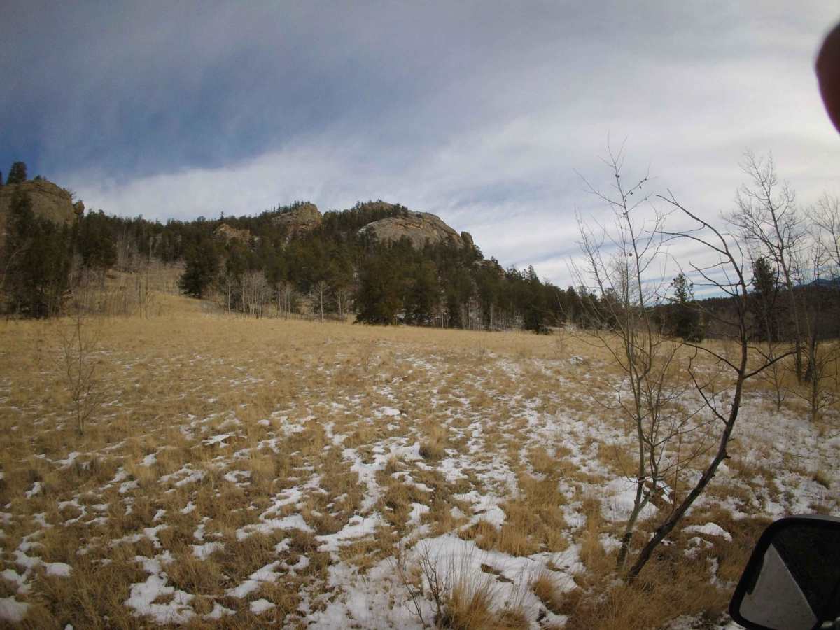 Reese Road - FS 844 photo 4