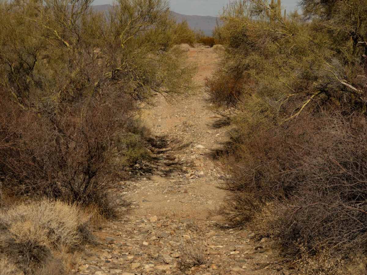 21183 Trail photo 3