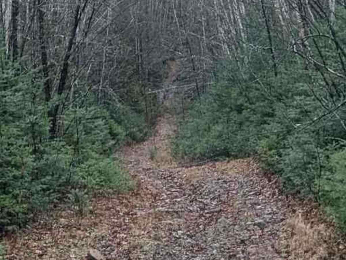 Yesterdays Rough Ride trail photo